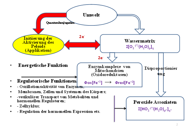 Besonderheiten der Magnesiumsuspension «®Tinowa»